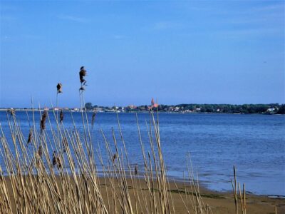 Blick auf Rerik vom Haffstrand